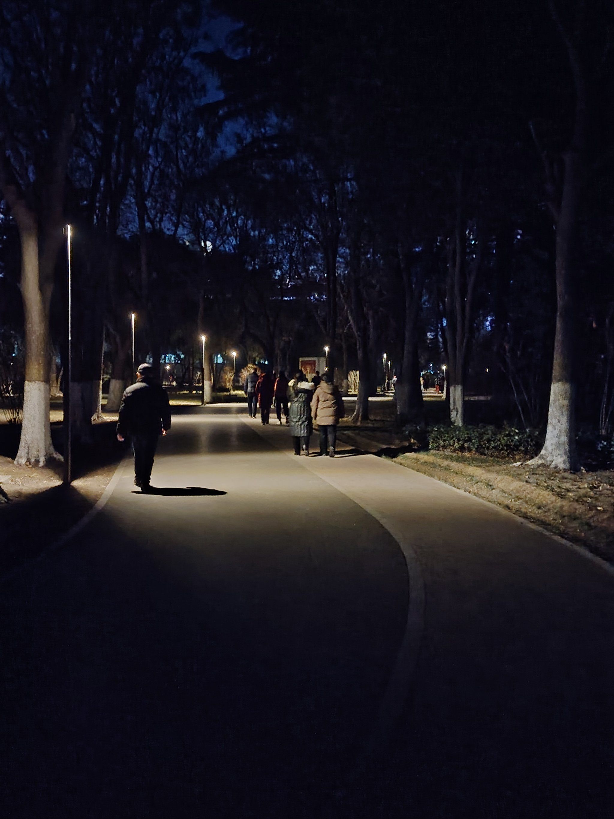 凌晨小巷生存实录：谁在夜色中省下30%生活成本？