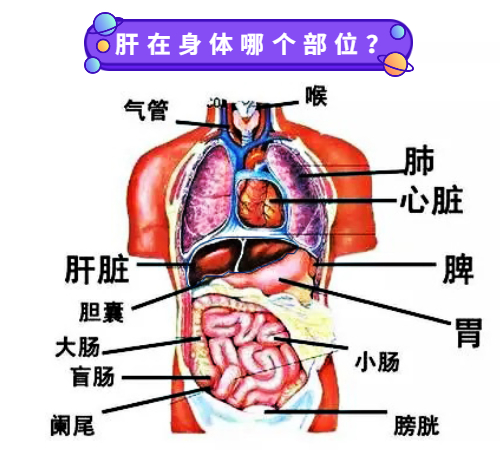 两位汉学家如何评价曹植《三良诗》?...