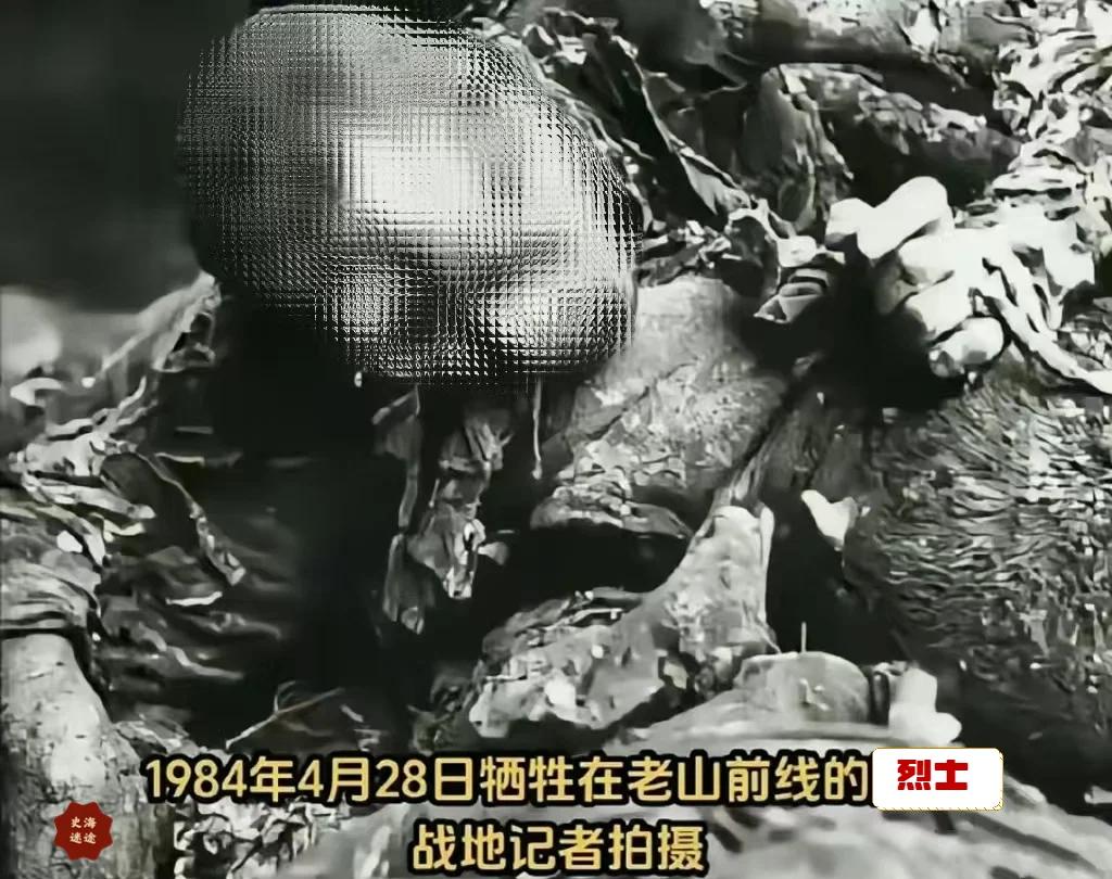 老山战役英雄事迹 对越自卫反击战历史意义