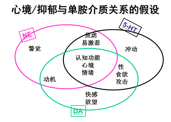 与徐凯文聊聊“父母皆祸害吗”？...