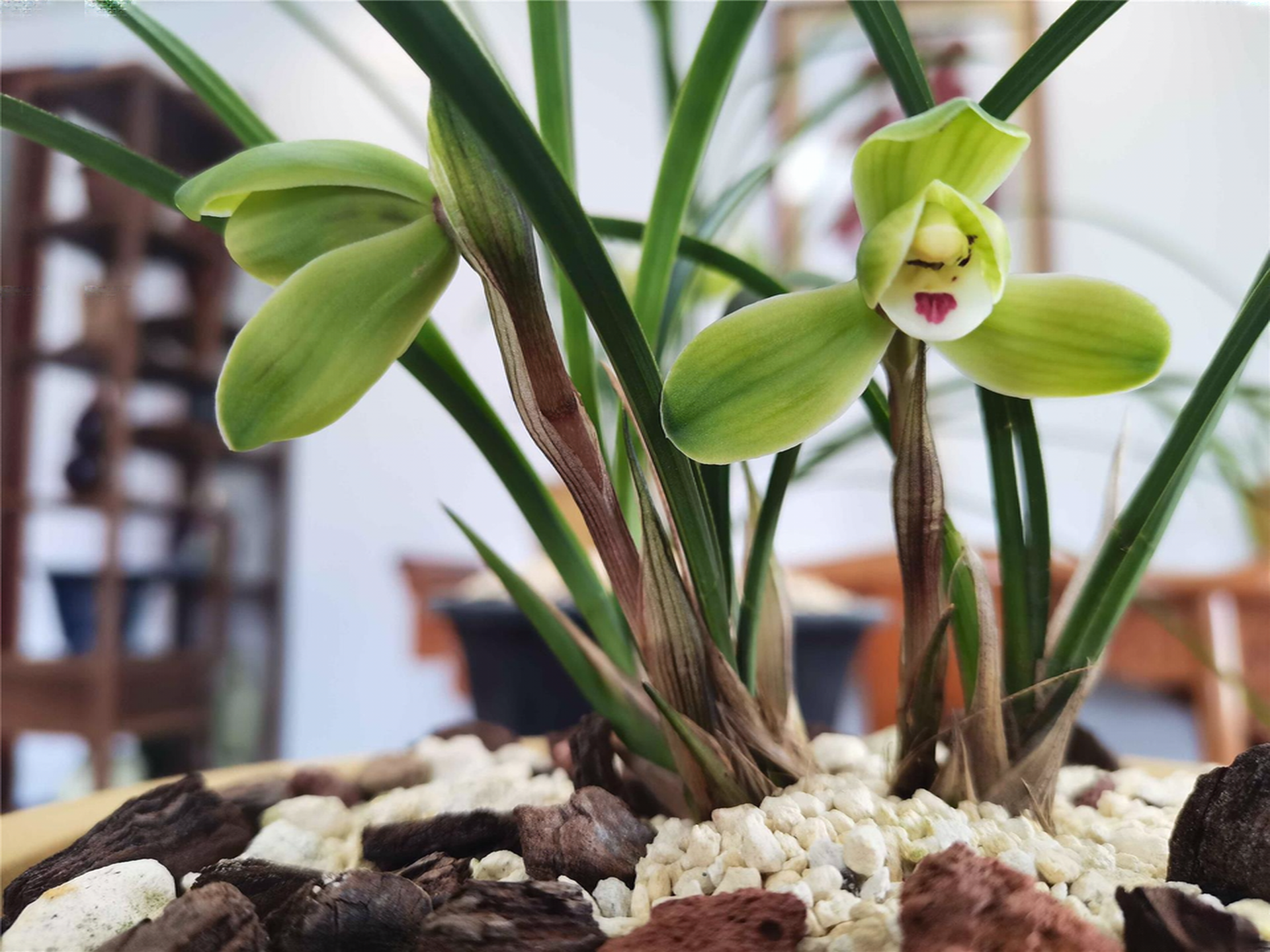 一品楼免费论坛的价值探索，知识共享如何影响生活