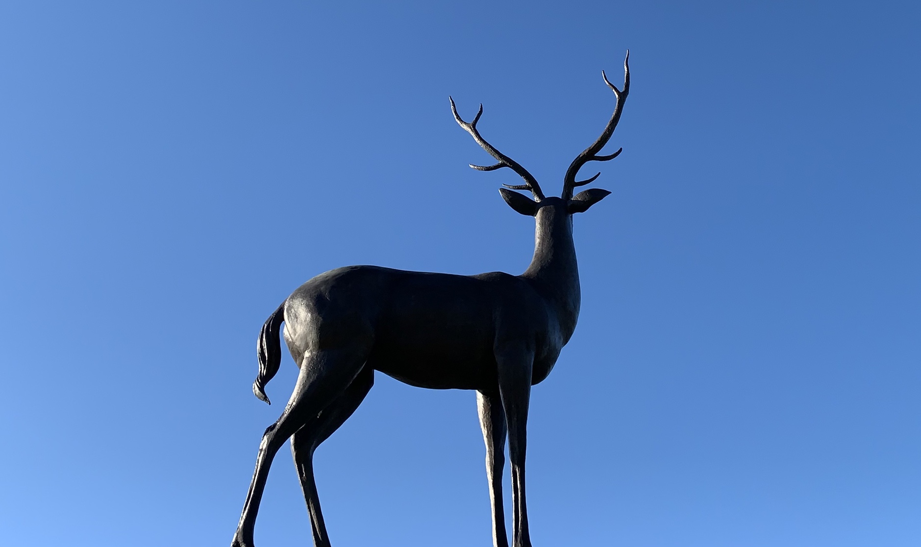 福鹿L1服务器深度解析：千瓦级功耗是否带来最优挖掘收益