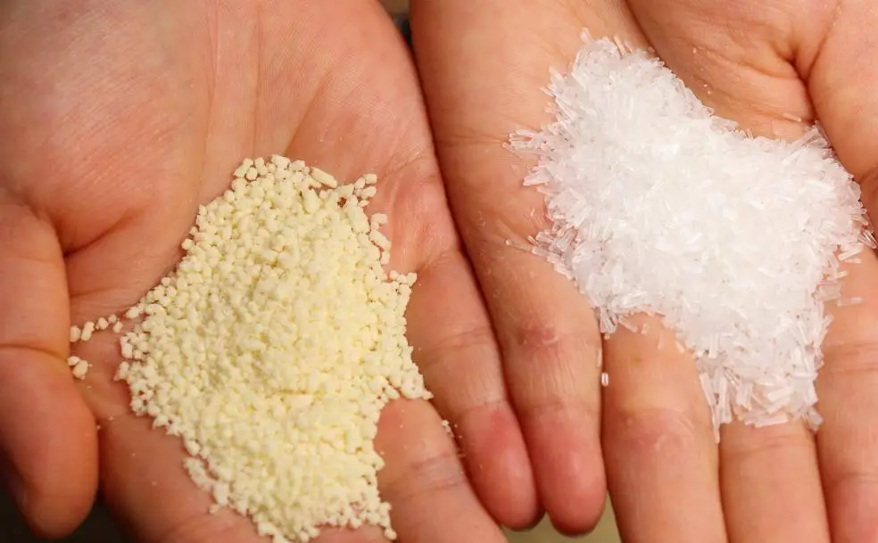 味精吃多了有害吗 味精过量危害有哪些