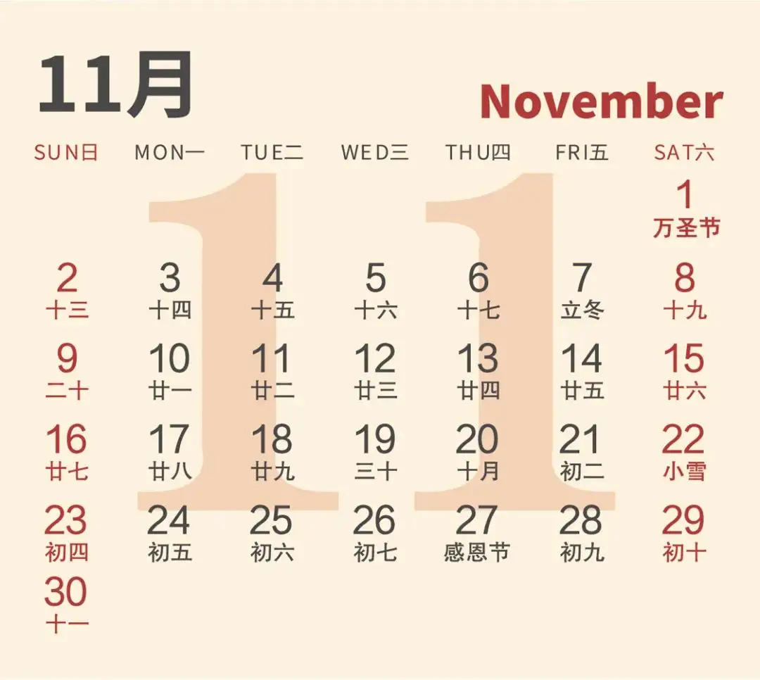 2025年公元纪年与生肖五行详细解析