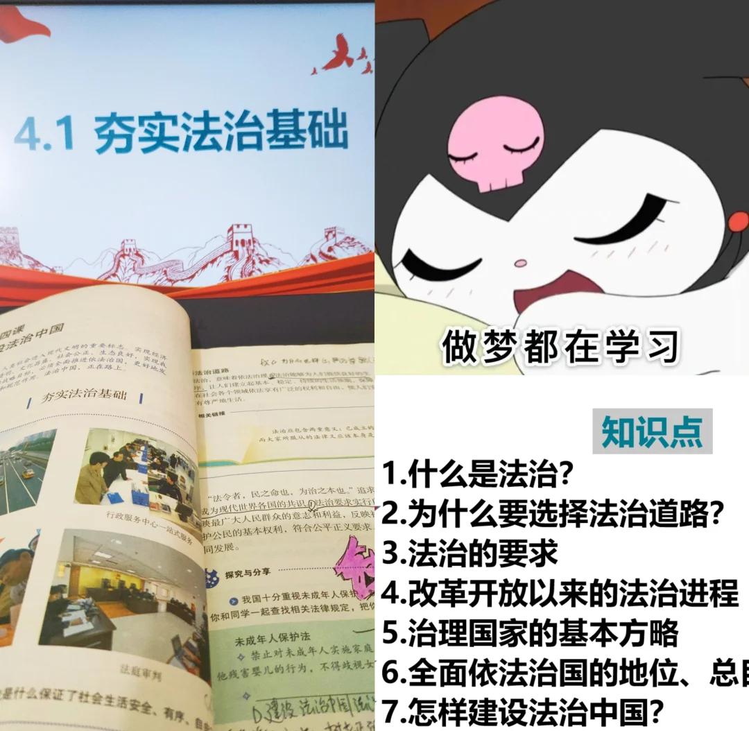 法律与文学学习方法 批判理论谱系解析