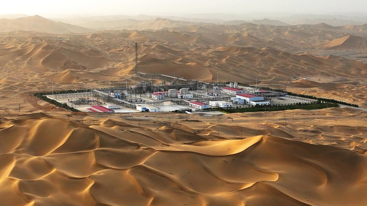 分布在塔里木盆地的新疆虎，它们的灭绝真的是因为蚂蚁...