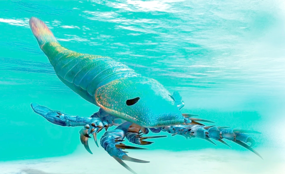 最古老的12种化石长什么样子？...