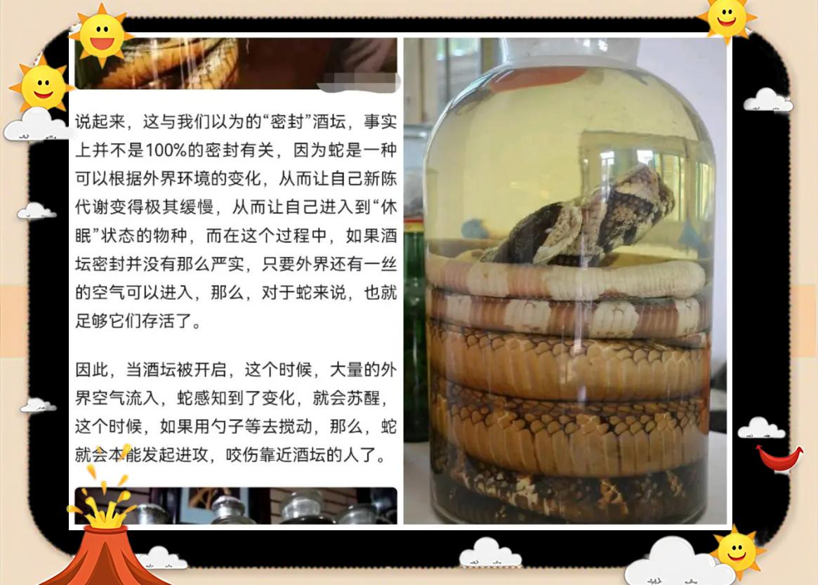 药酒坛子里的蛇被泡了一年以上，开坛后还会咬人？可能...