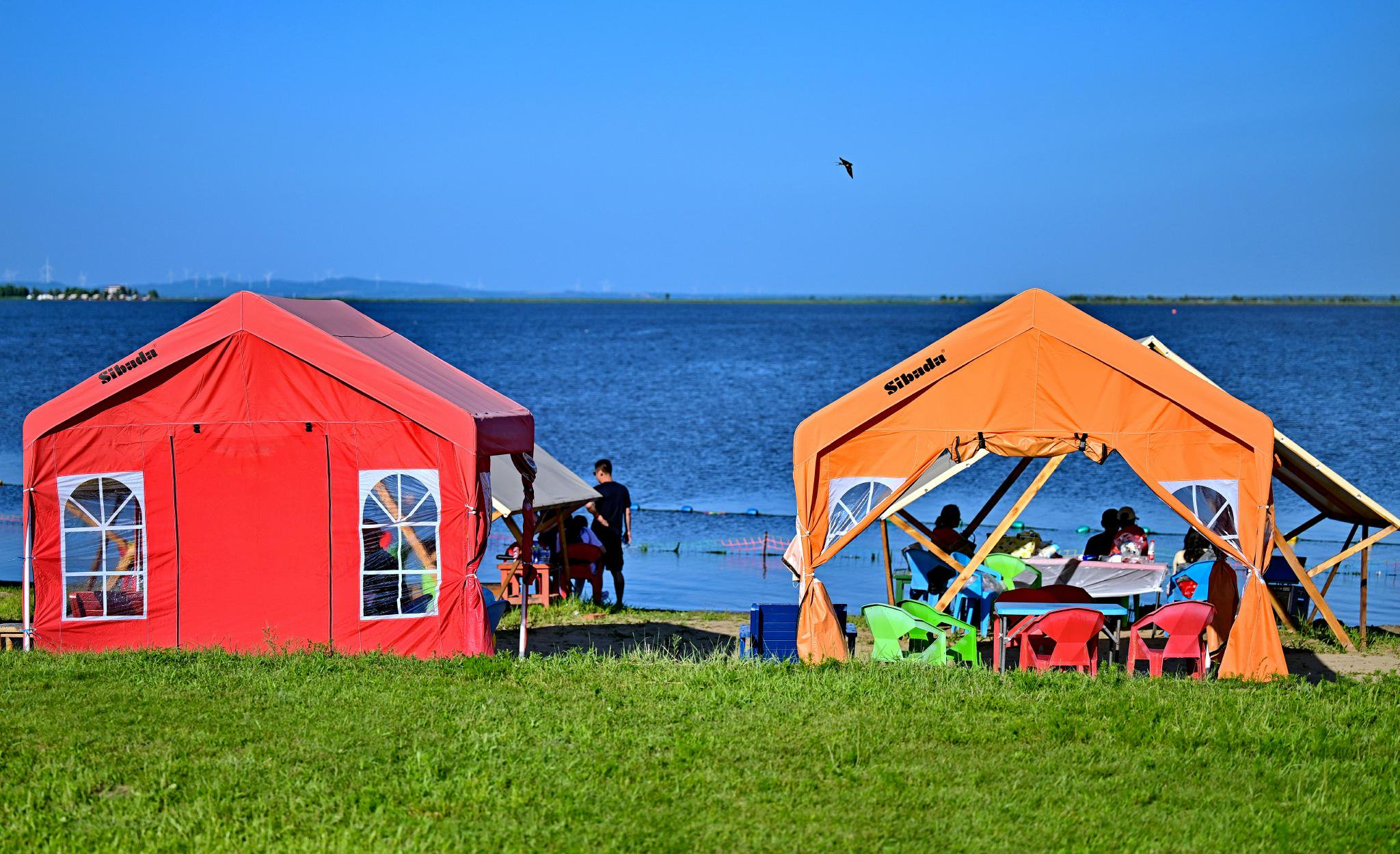 日照周边服务怎么找？日照周边服务怎么寻找？日照怎么找周围的服务