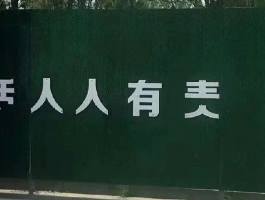 SP小圈：从亚文化现象到社交生态的深度解析