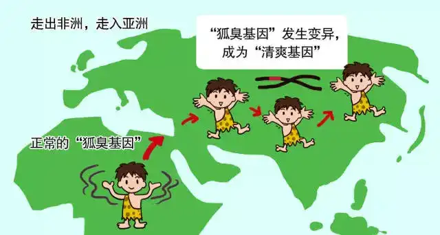 人类不同肤色原因 为何没有生殖隔离