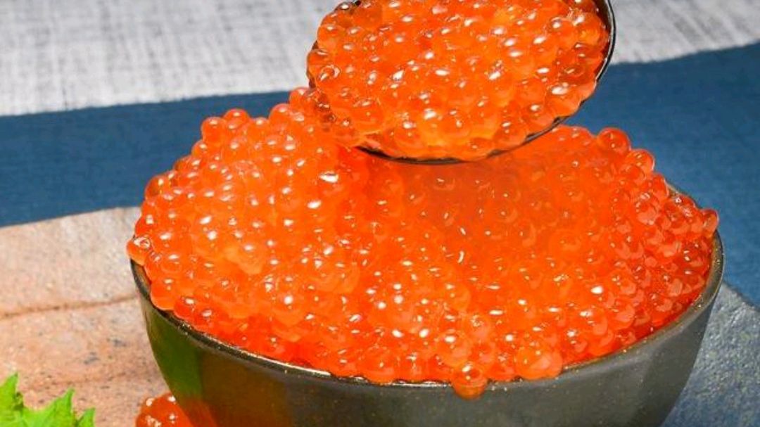 带鱼鱼子为什么不能吃 小孩能吃普通鱼籽吗