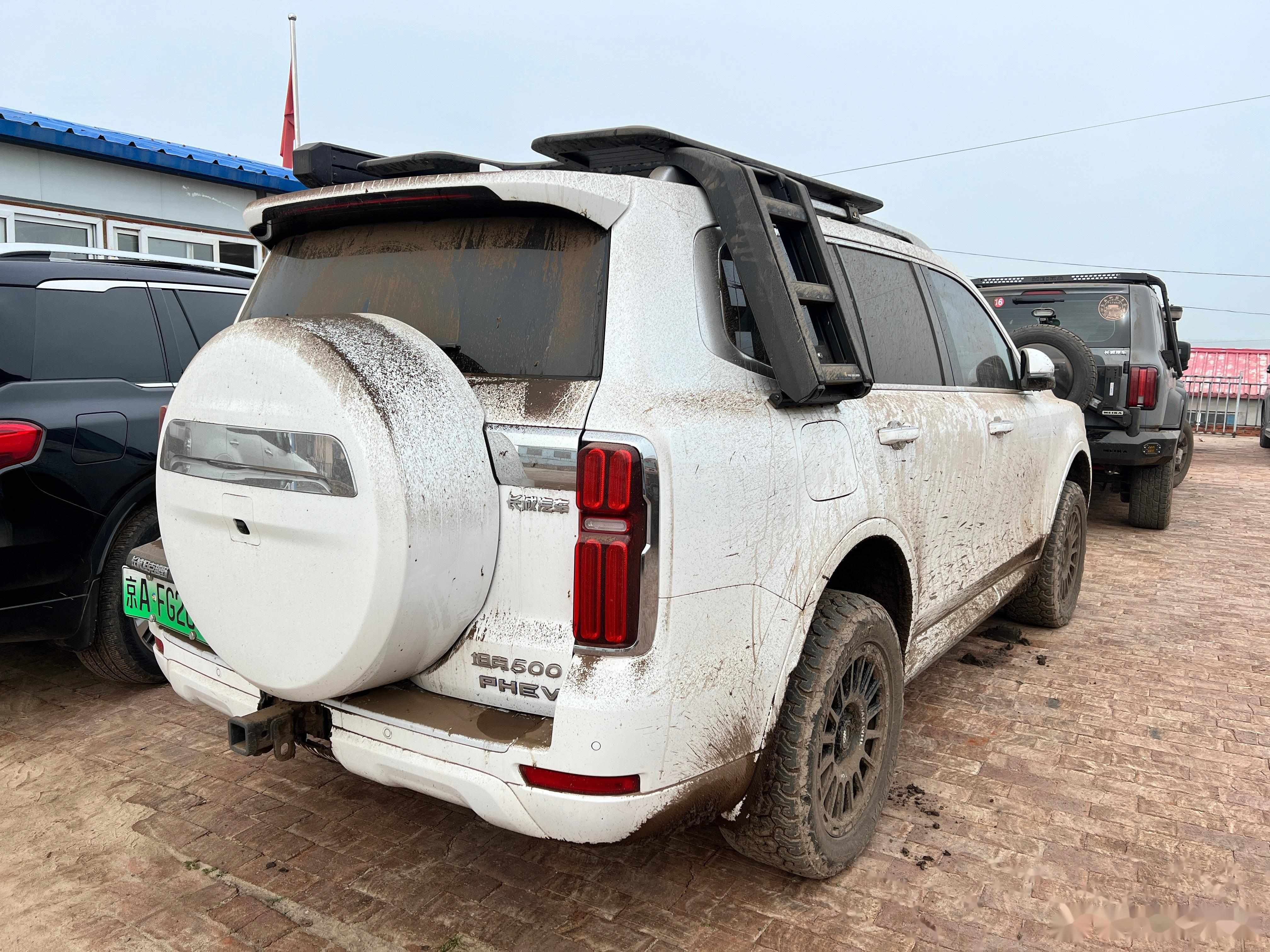 肇庆500元同城约茶