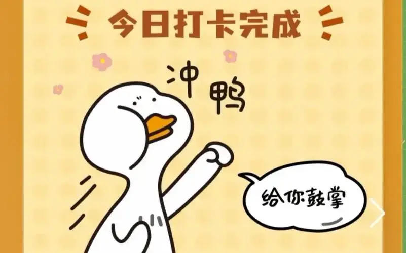 山南品茶工作室私人定制体验