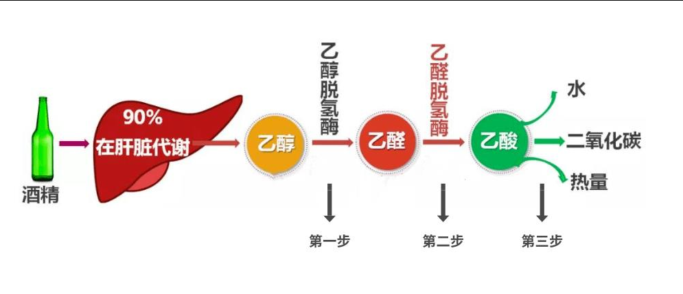 葡萄酒和啤酒, 谁更健康?...