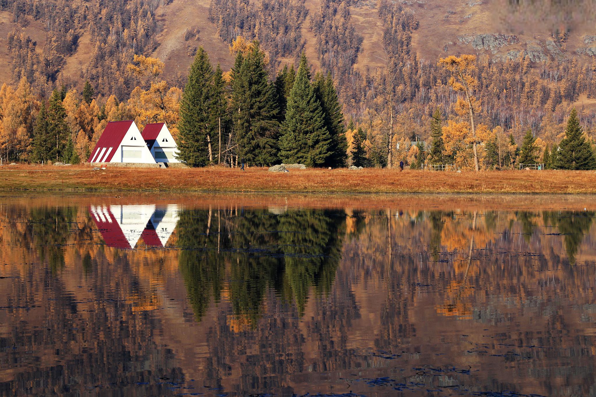 丛林艺术家自然世界是多么绚丽，而人们面对它时又是多...
