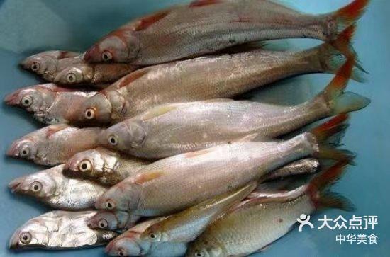 东北人为什么爱吃开江鱼？...