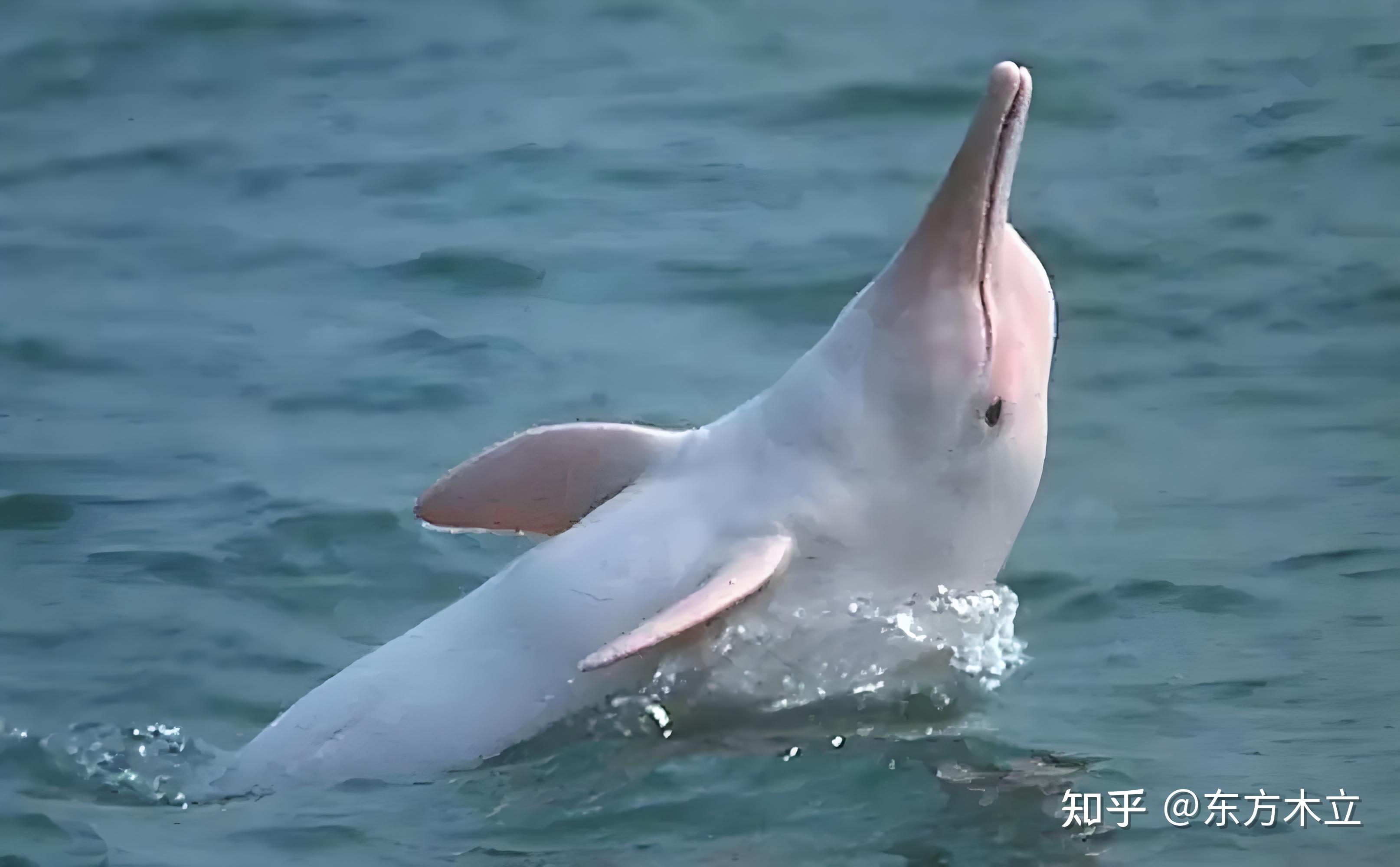 快餐300全套500解析,深入探讨服务行业的定价策略与消费心理