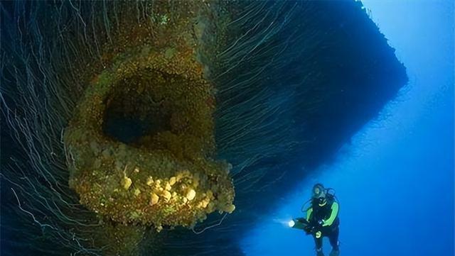 马里亚纳海沟怪声之谜 62年前探险家听到敲门声