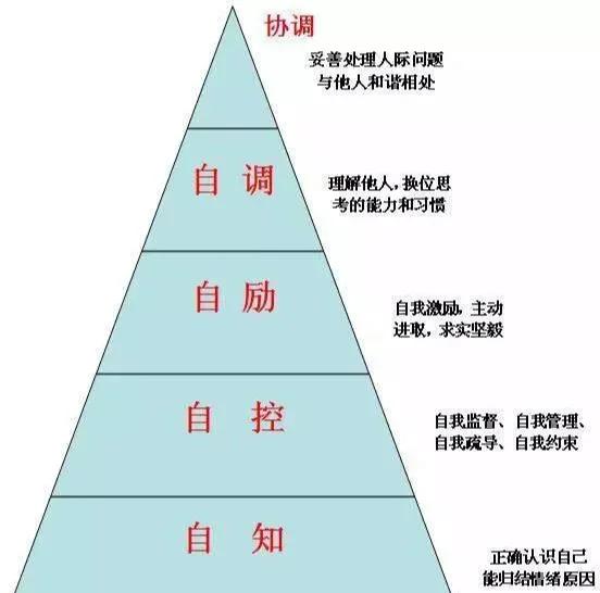 弗朗西丝·阿诺德：“硬核”女科学家...