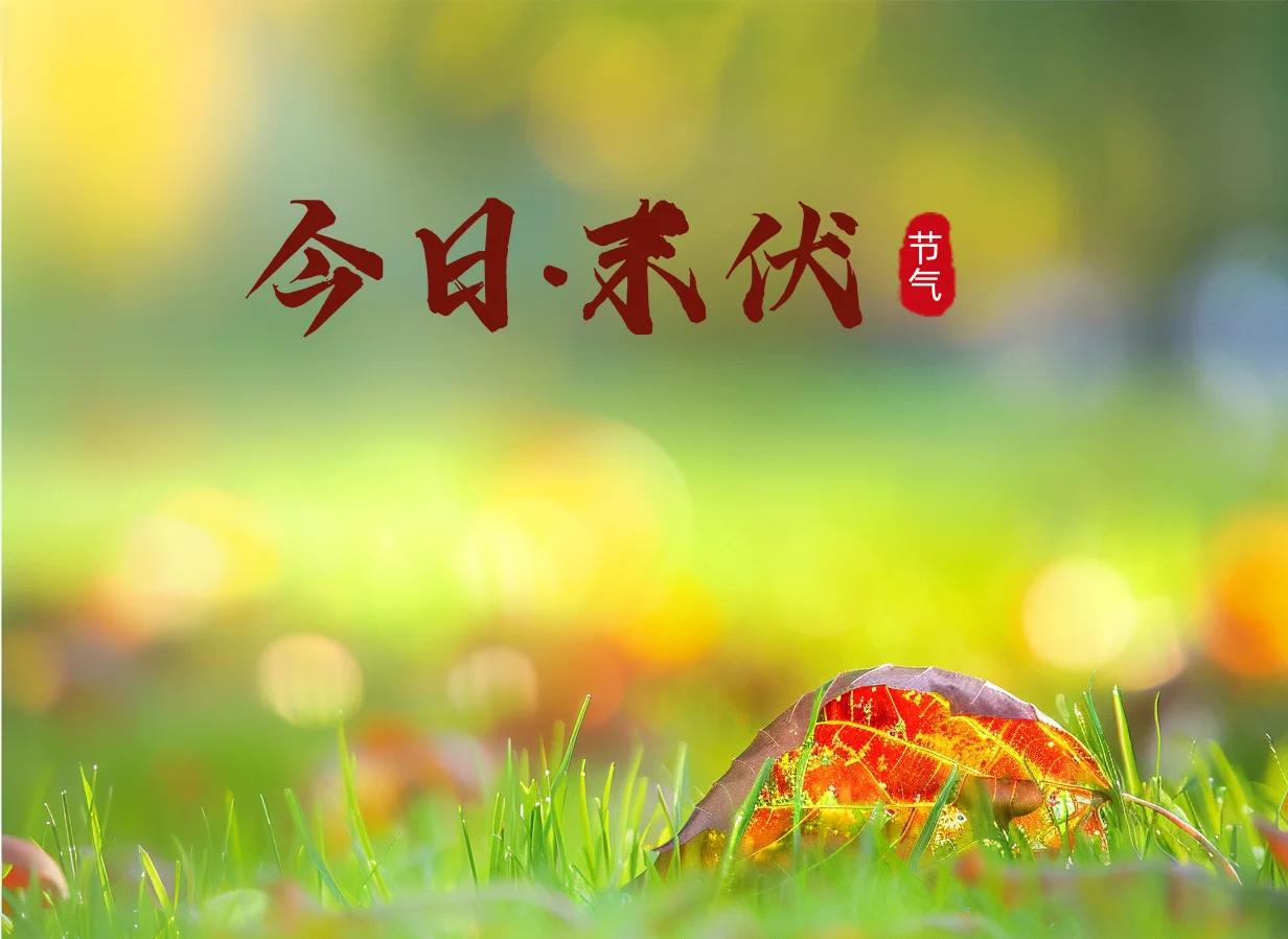 已经进入三伏天的末伏，末伏后还会升温降雨吗？...