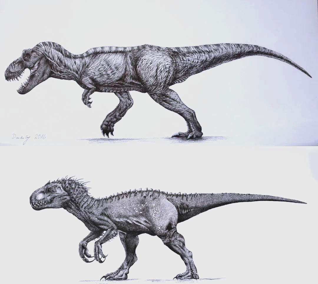 霸王龙的小手手是干嘛用的?看似跟人类阑尾一样,却有...