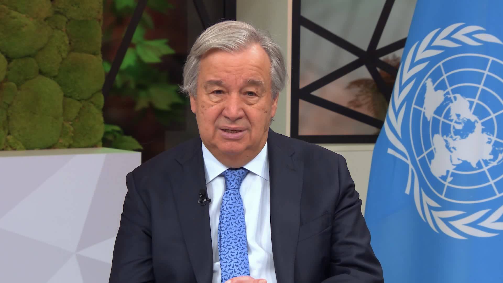 卸任秘书长，潘基文的总统梦与烂摊子？...