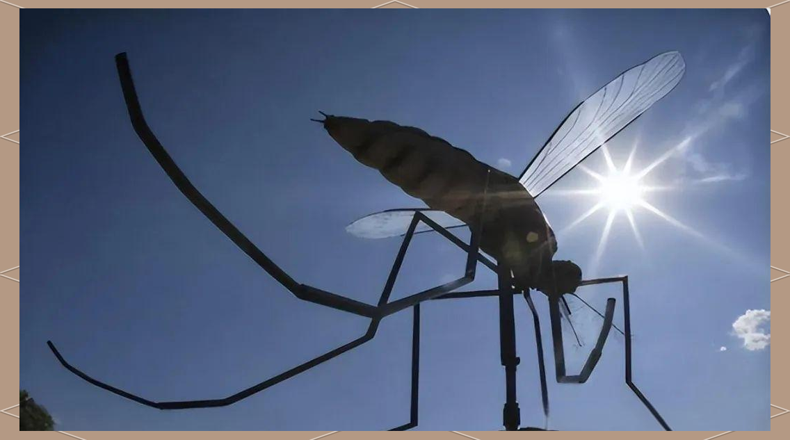 美国将释放7.5亿只转基因蚊子,会产生更强的变异蚊...