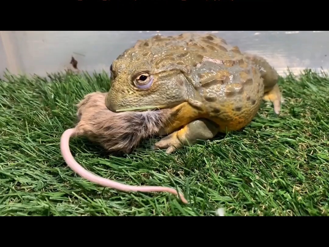 塑料对健康的危害 塑料污染谁是罪魁祸首