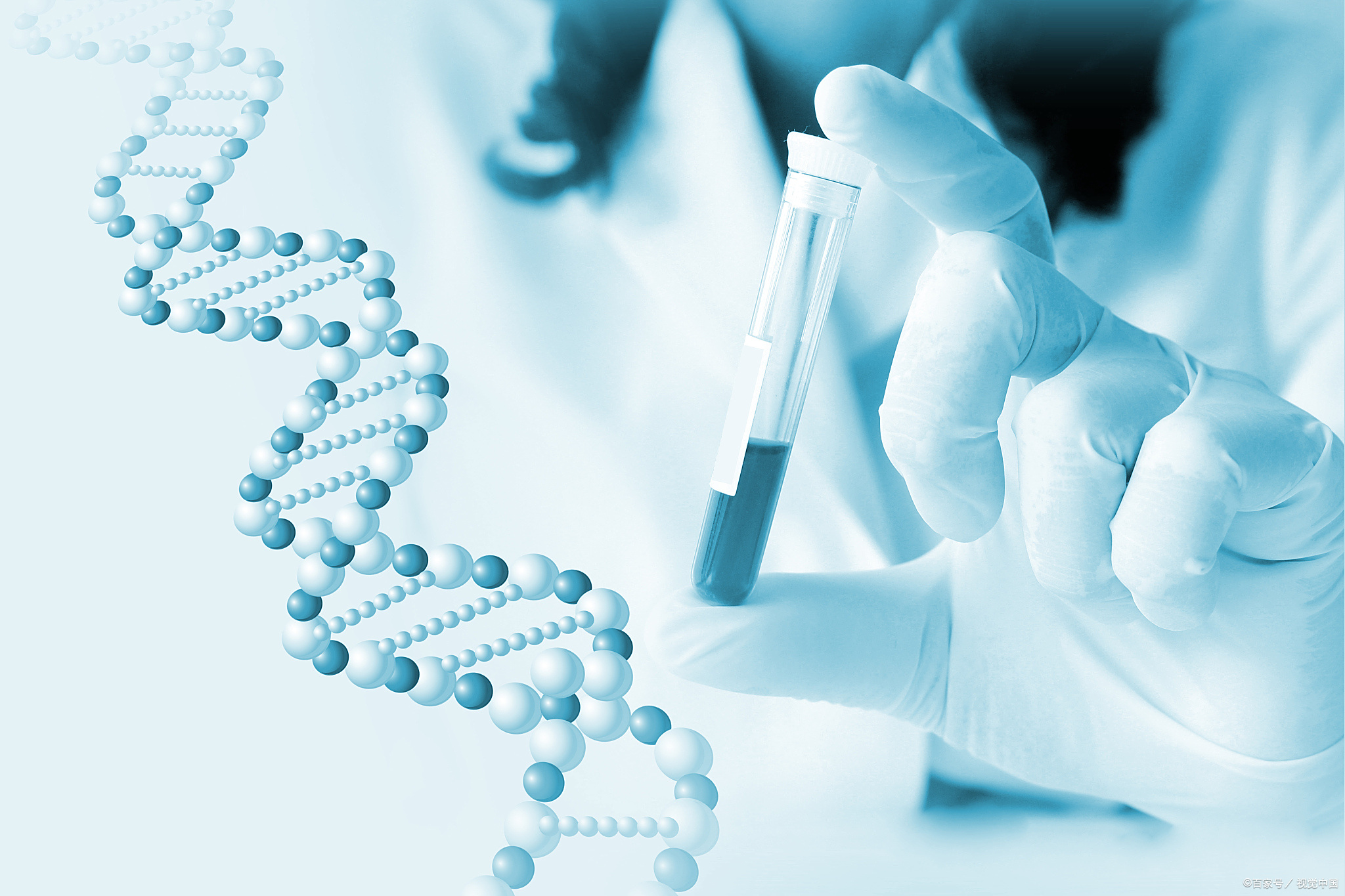 黄种人、白种人、黑种人与棕种人，他们之间为什么没有...