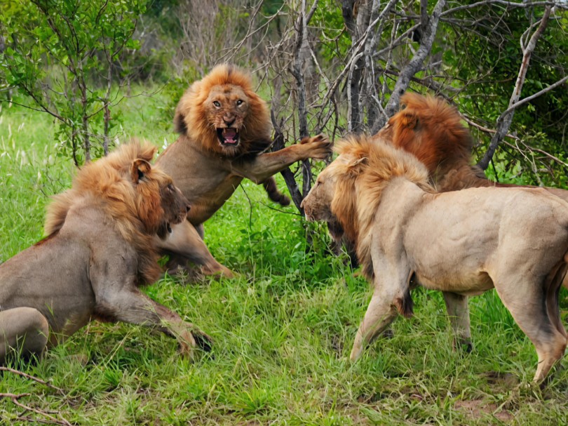 南黑窑地下性产业生态调查：被明码标价的人生揭秘