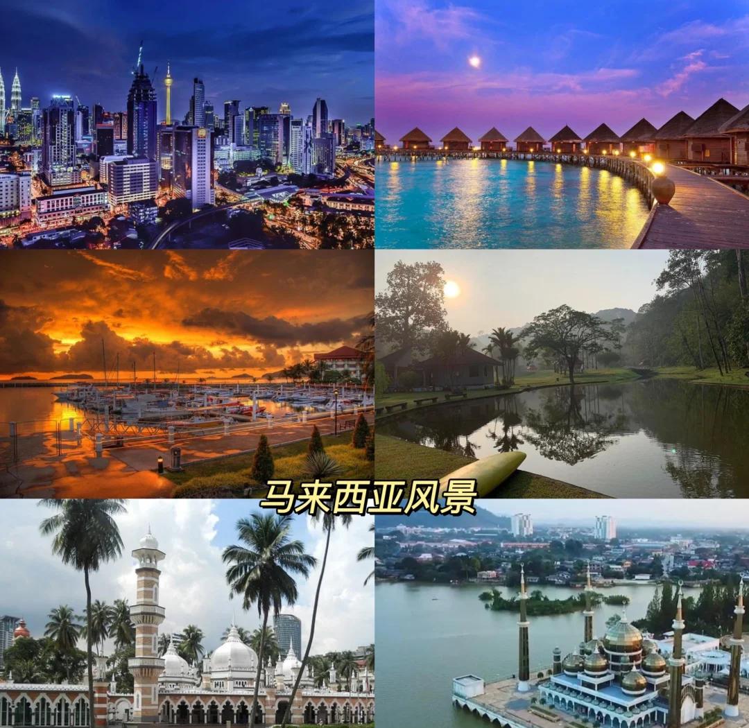 一个在热带雨林做“街头艺术”的人...