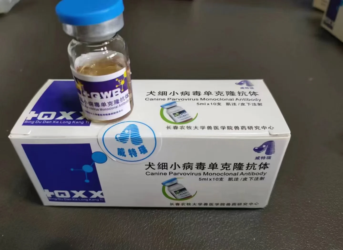 犬三联抗血清和单抗有什么区别？疫苗当天能不能吃药？疫苗抗体到底怎么保护我们？