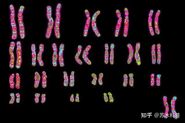 动物为什么不存在近亲繁殖的问题？...