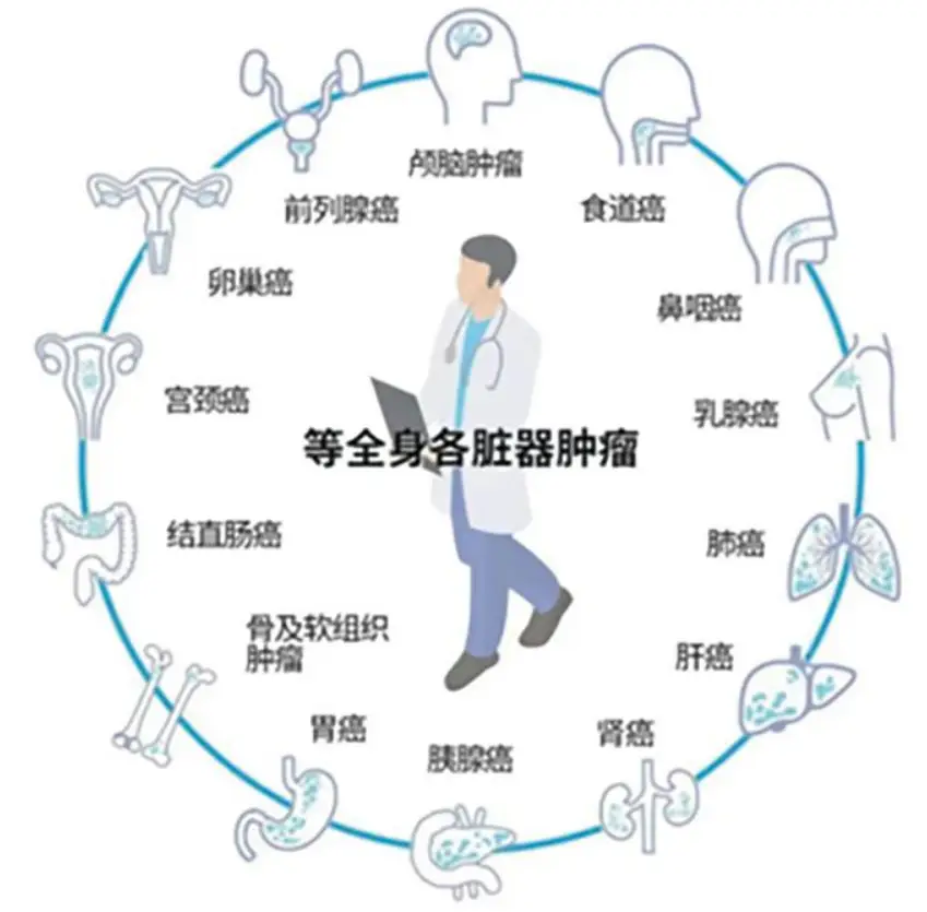 水下“药房”：海洋中哪些生物包含能治愈癌症等疾病的...