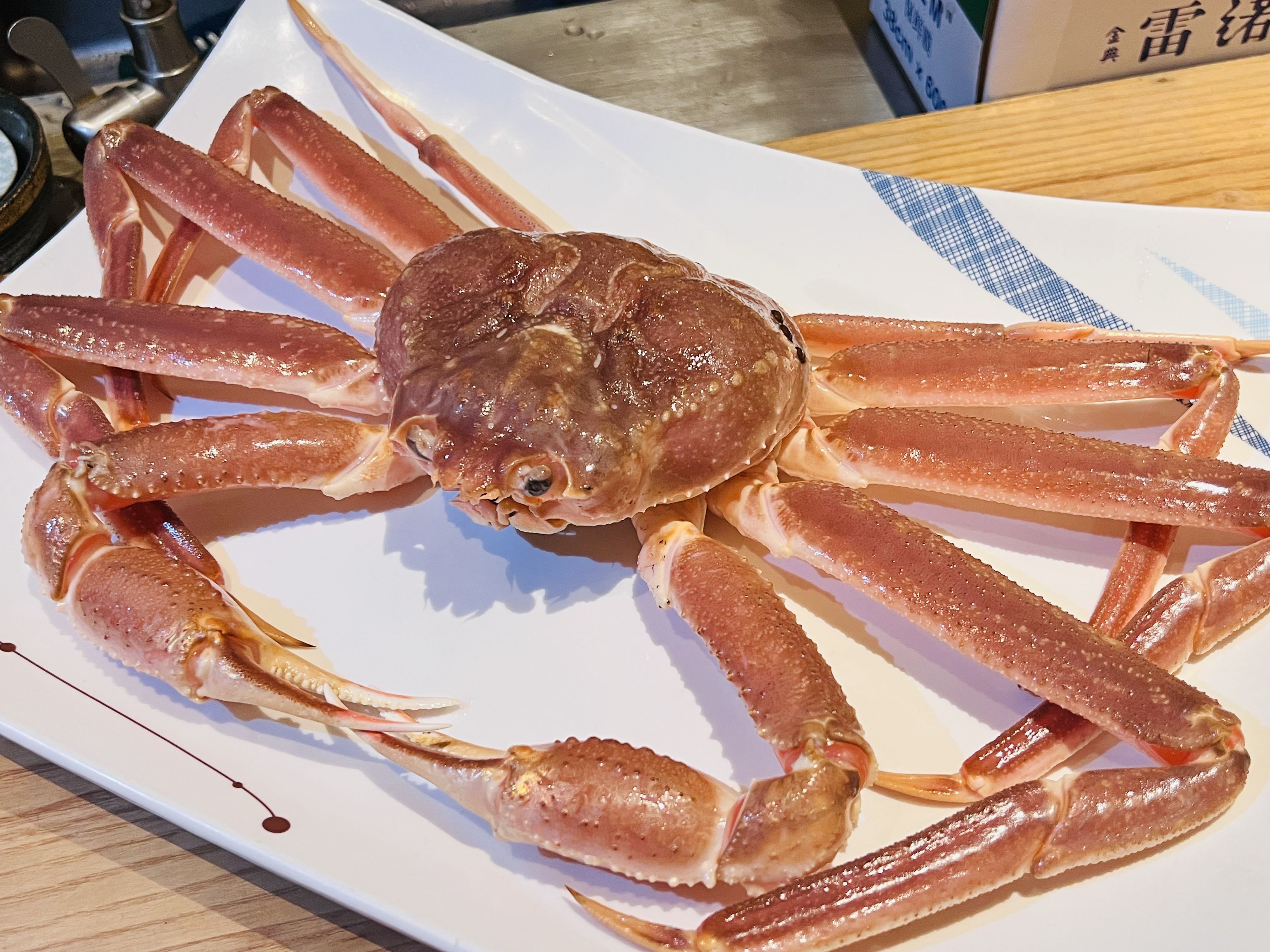 日本人爱吃的雪蟹是一种什么美味？...