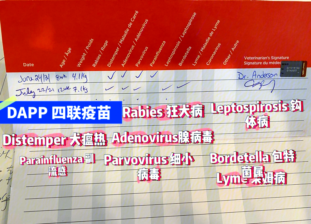 在疫苗这件事上，加拿大父母从来不用焦虑...