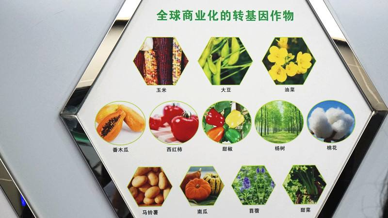 转基因生物有哪些种类 什么是转基因技术