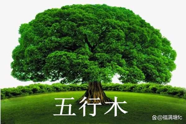 为什么木心不画国画？不肯凸显他的中国身份？...