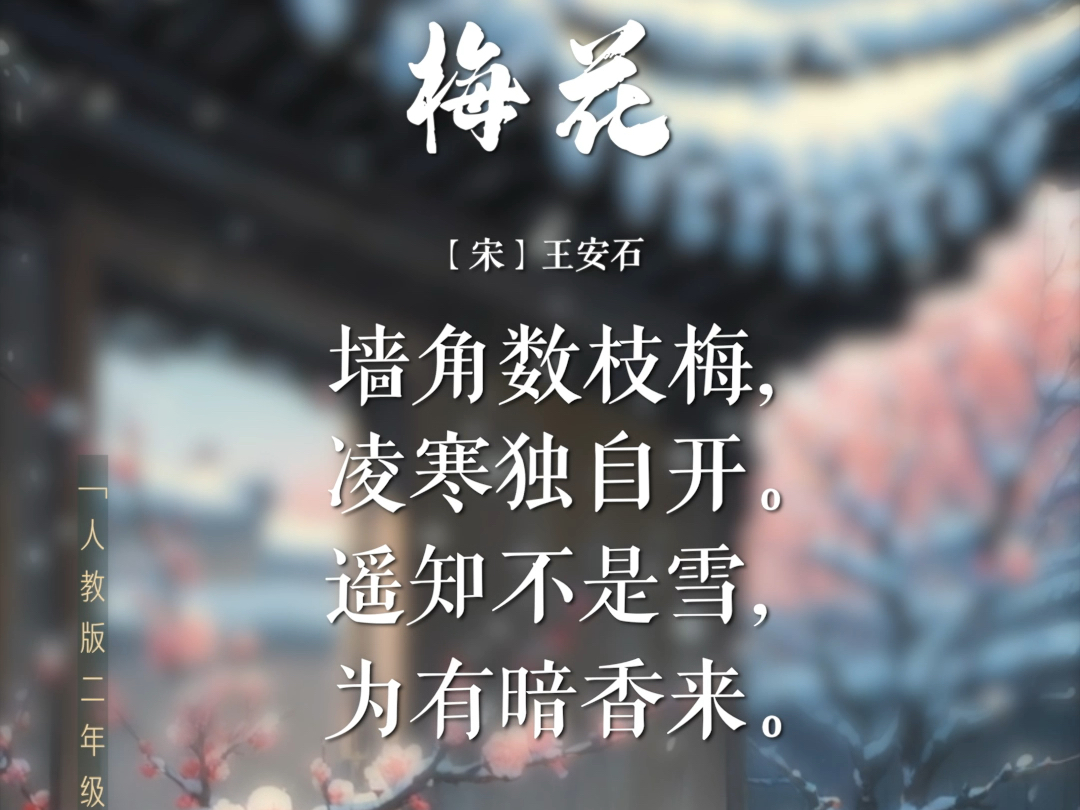 上山赏苔藓？日本人的古怪爱好是为什么？...