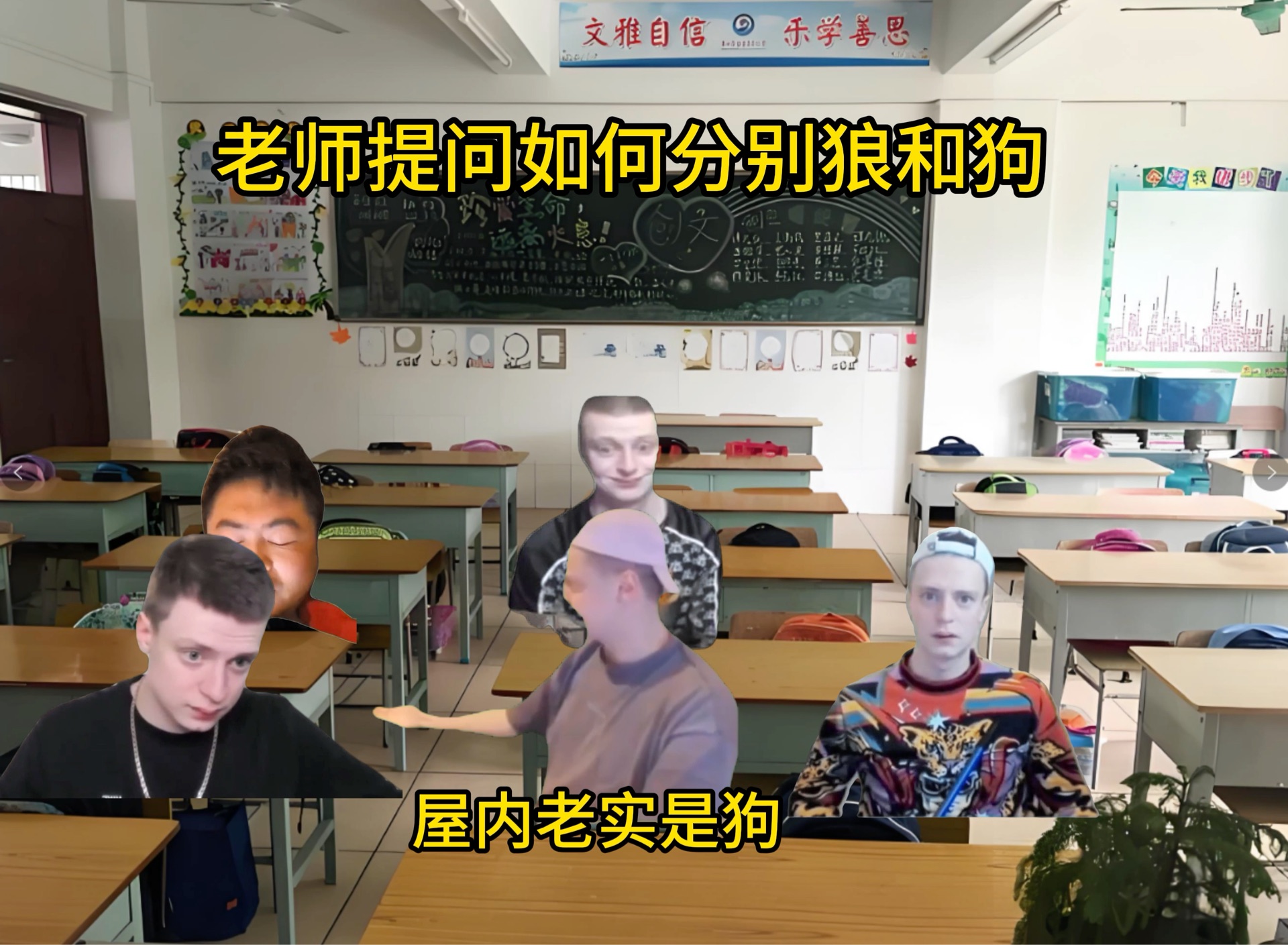 选“小奶狗”还是选“小狼狗”?...