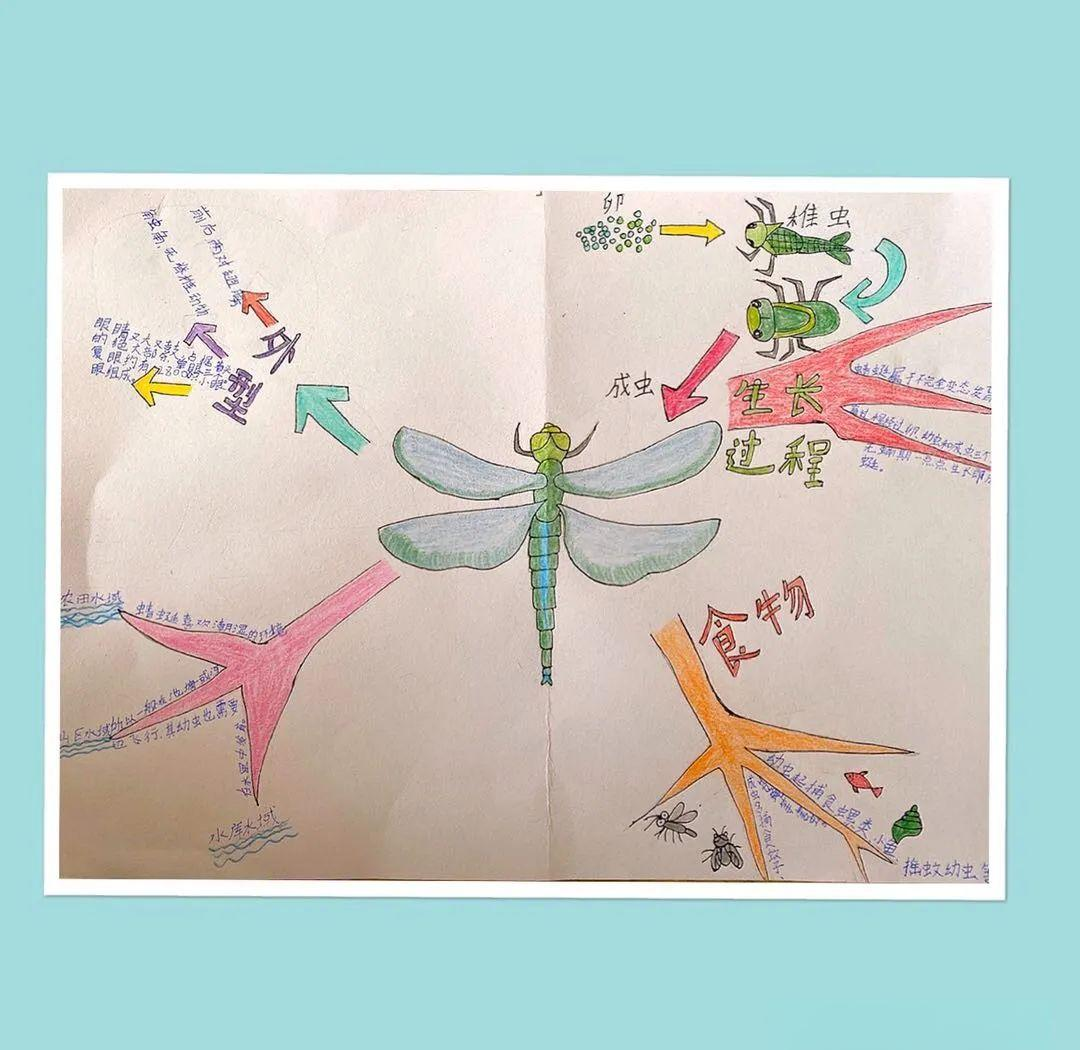 这种虫子“吃进去的是塑料，挤出来的是抗冻剂”？...