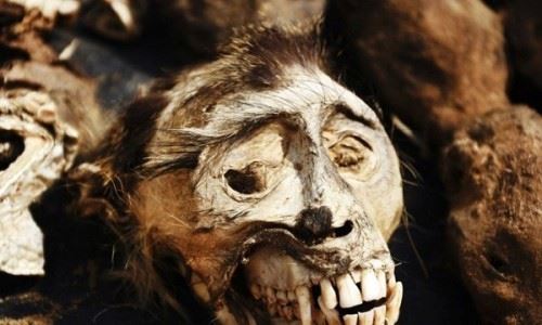 诡异的自杀森林,日本青木原树海里的悲歌?...