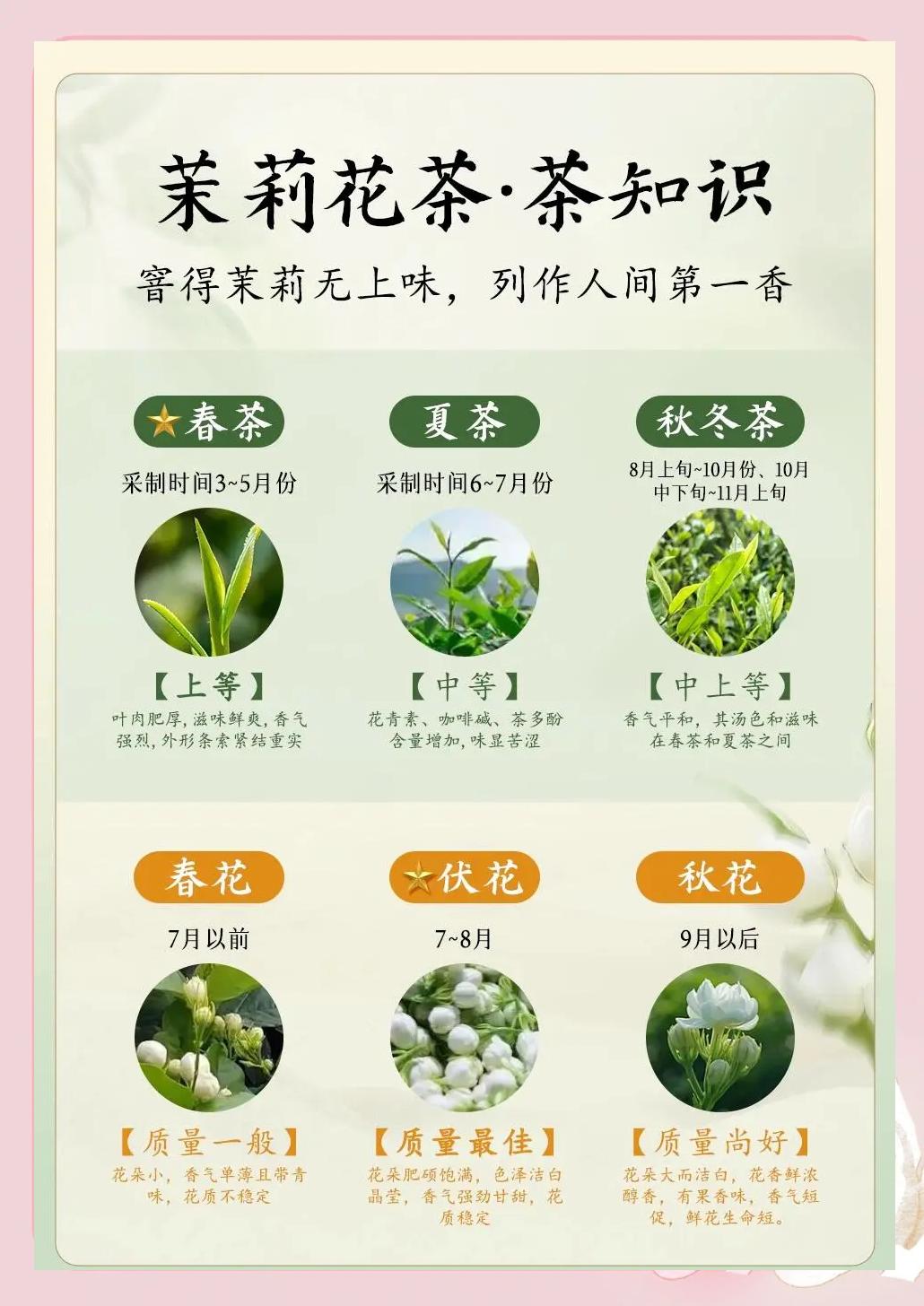 花草茶选购技巧 如何挑选优质花草茶