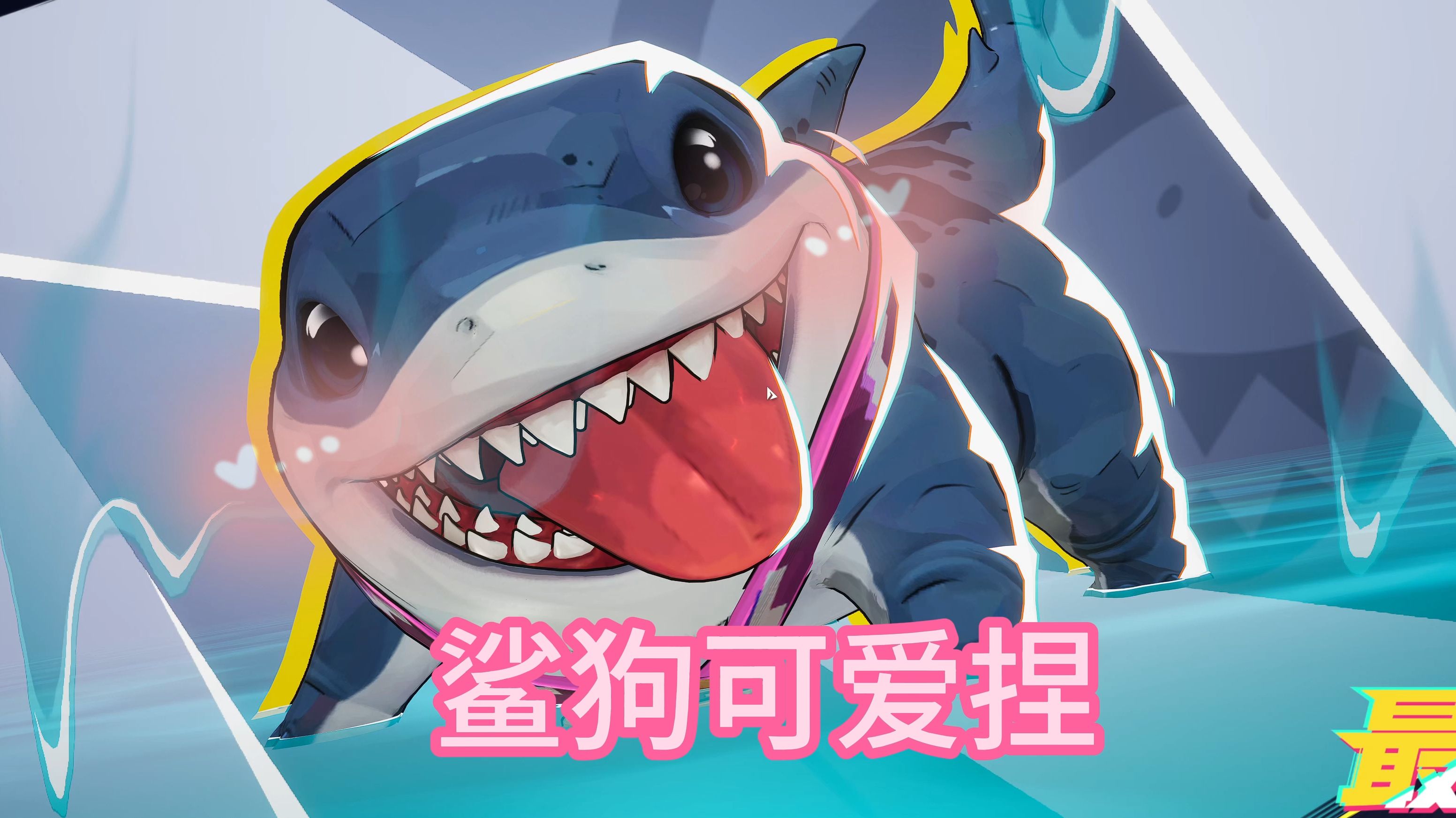 闽南人生活中的“狗鲨”是什么神仙物种?...