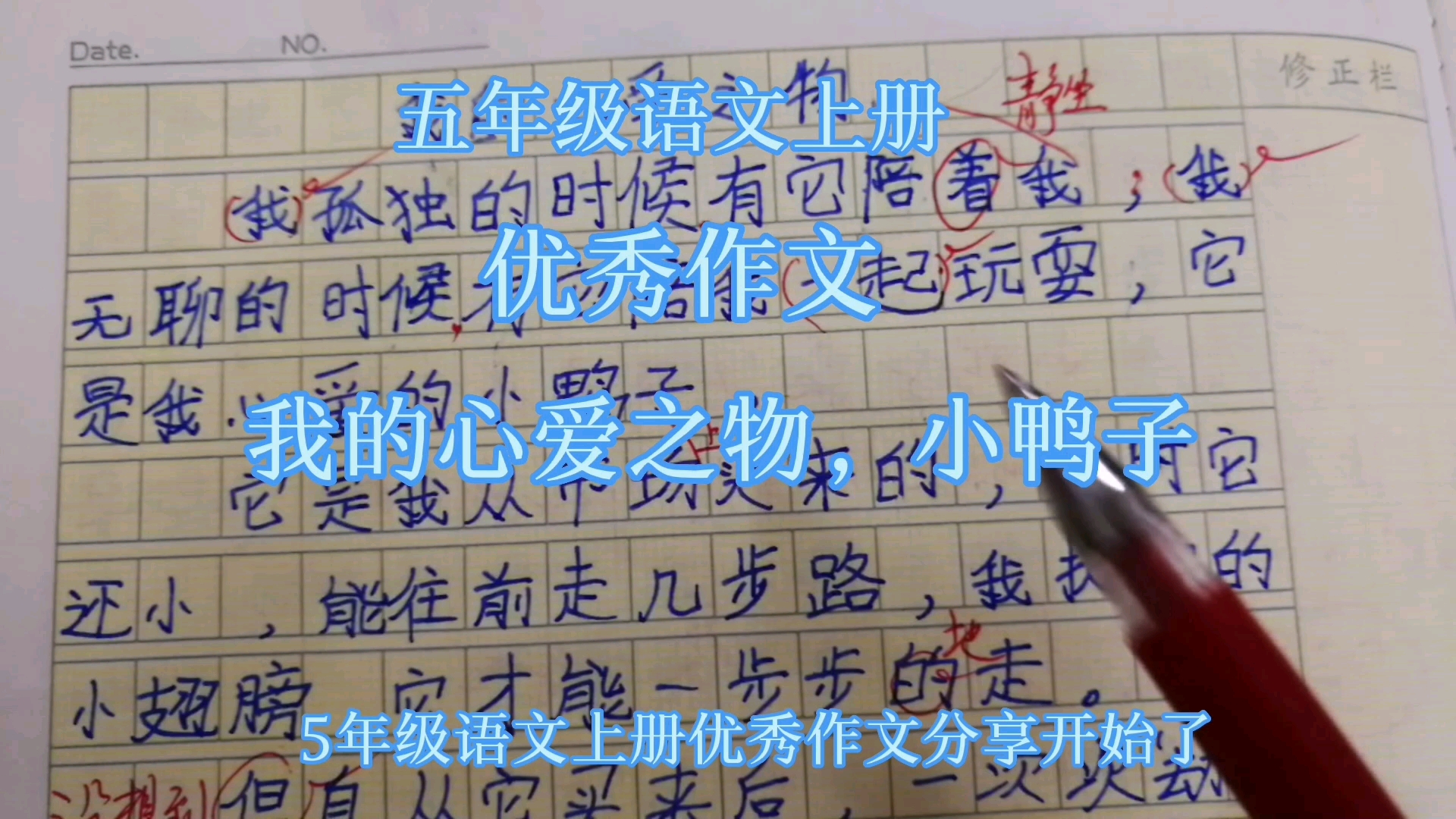 为什么温哥华被称为流浪者的天堂?...