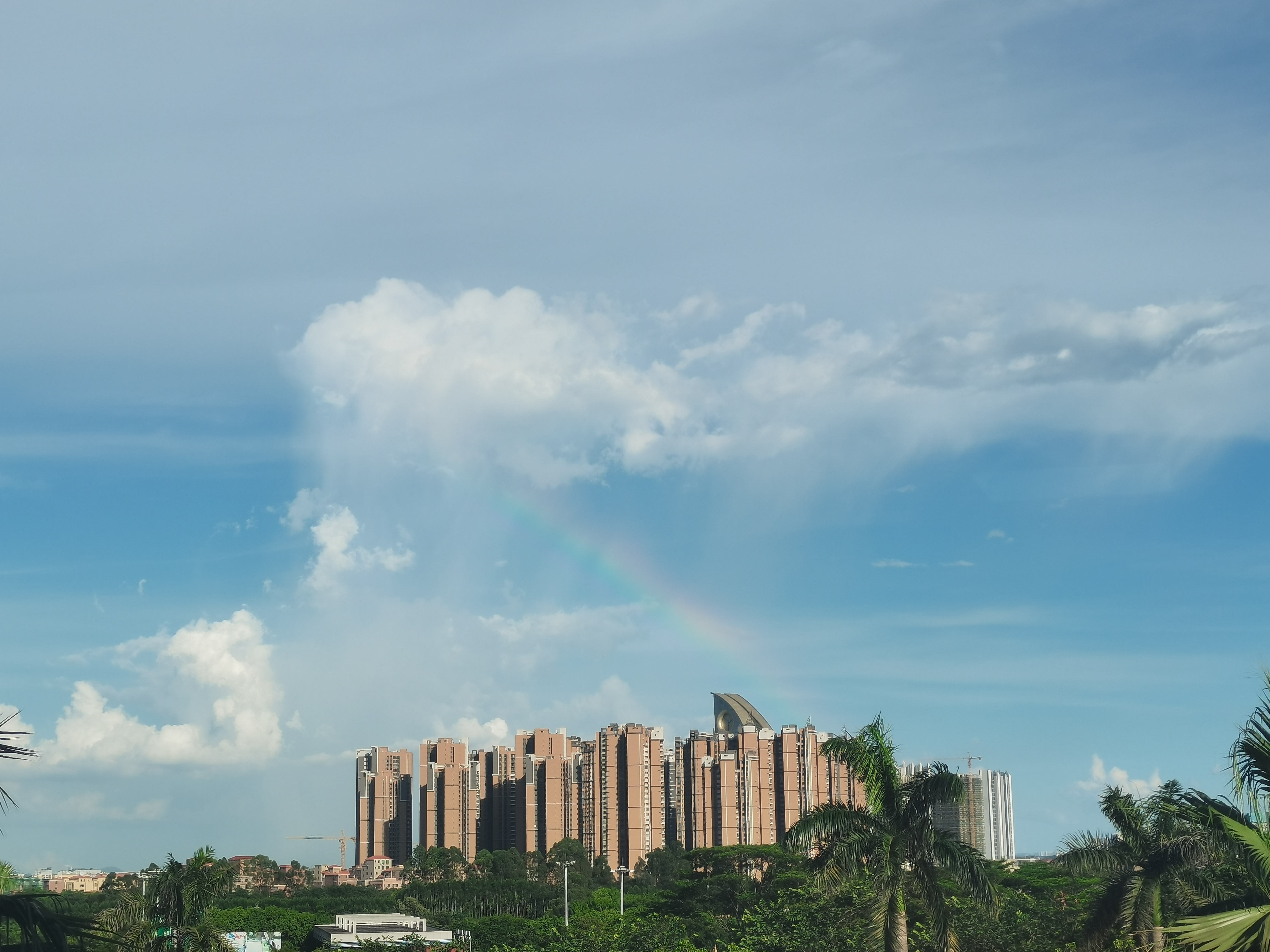 多伦多五光十色的魅力之都是一种什么经历?...