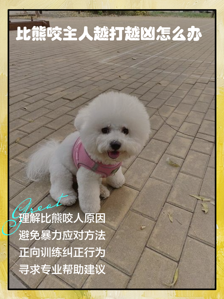 宠物训练师的理智与情感...