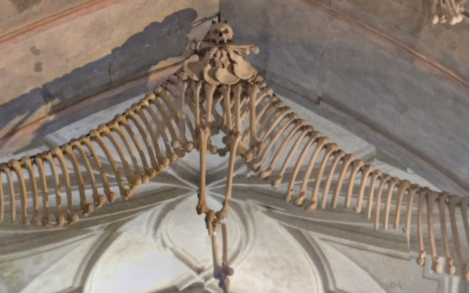 在艺术墓地遇见骸骨教堂是一种怎样的体验？...