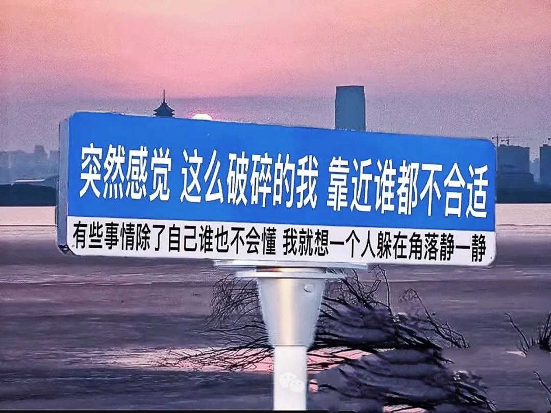 大城市打拼的辛酸 父母老去的无奈